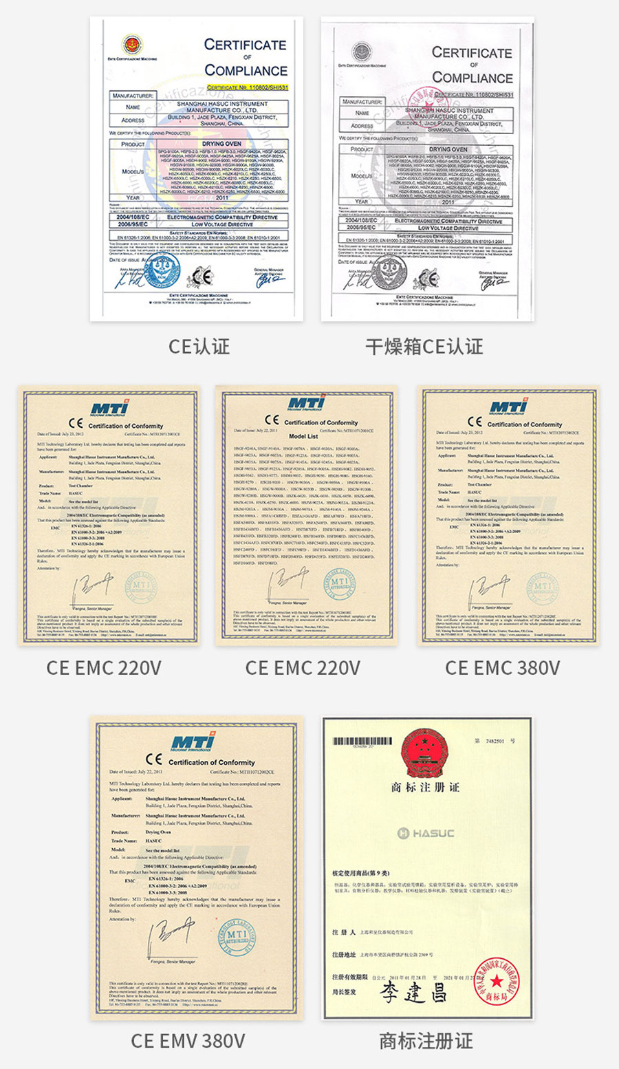 250度 電熱恒溫鼓風干燥箱